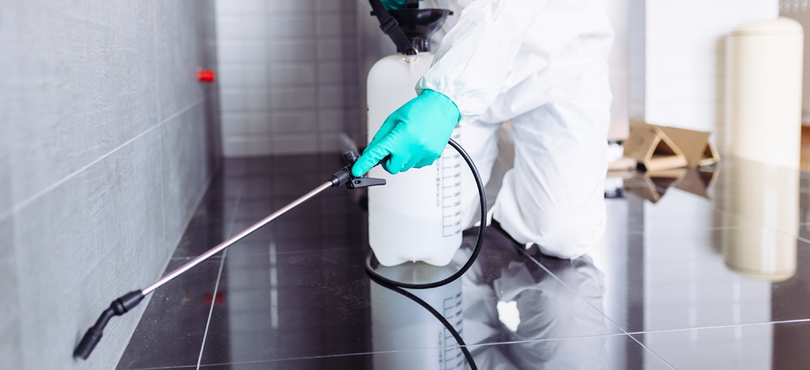 Cockroach pest control services Pune