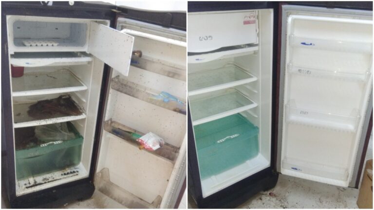 Fridge Cleaning Services Pune