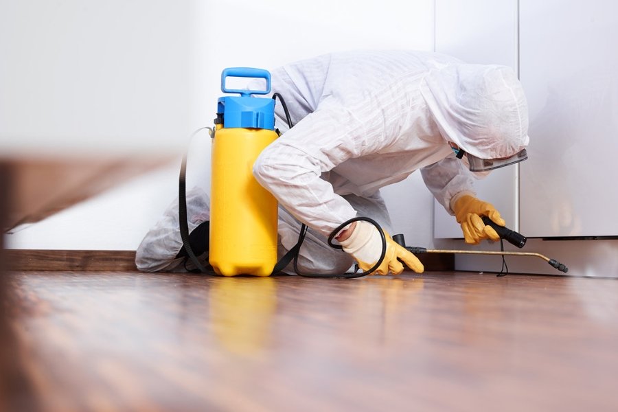 Herbal pest control services Pune