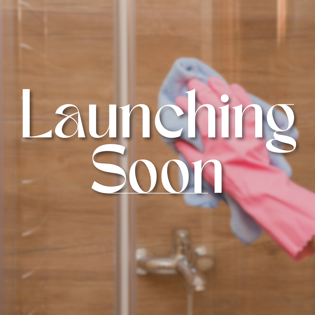 Professional Bathroom Cleaning Services in Chennai | Dirt Blaster
